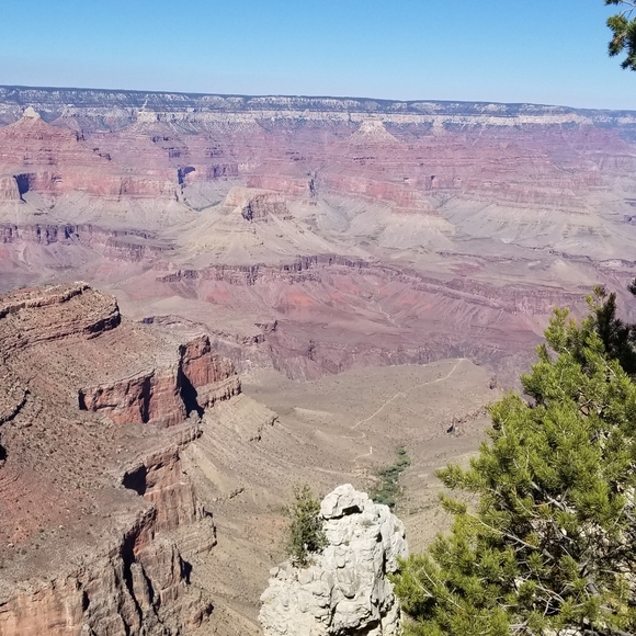 Meet your Posher, Phyllis - Picture 1 of 2